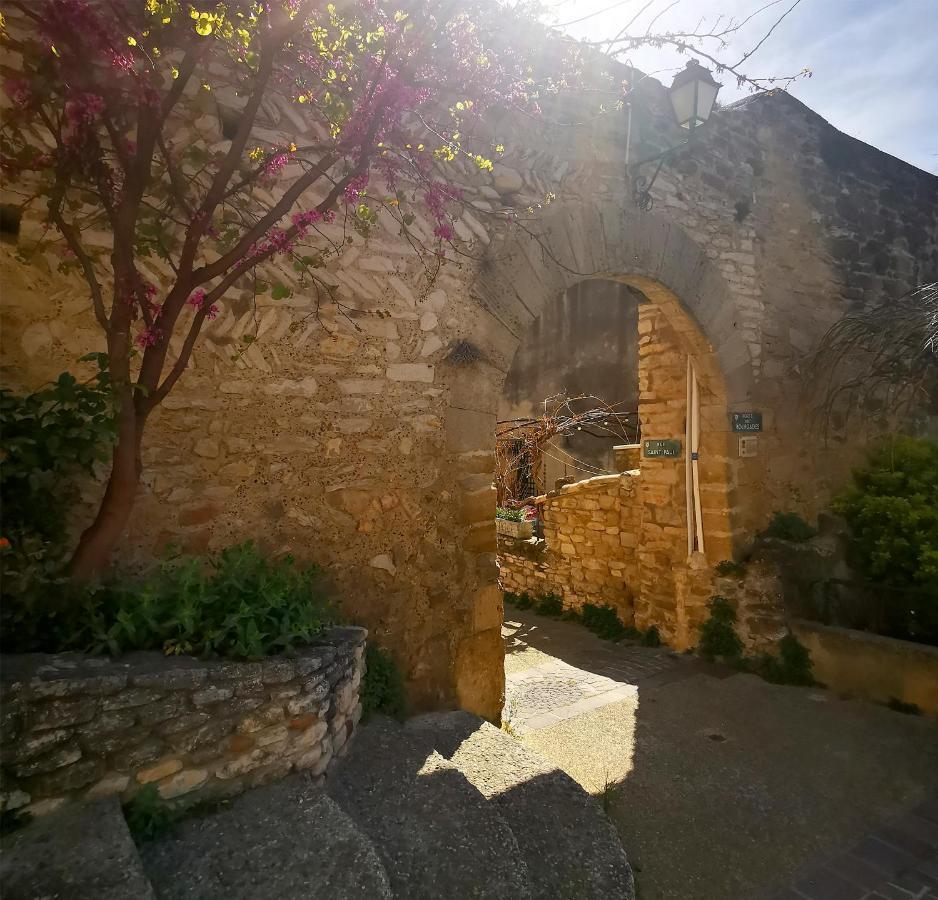 Le Petit Chateau Bed and Breakfast Châteauneuf-de-Gadagne Exterior foto