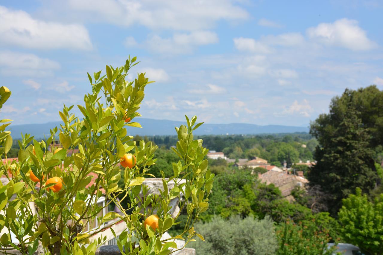 Le Petit Chateau Bed and Breakfast Châteauneuf-de-Gadagne Exterior foto